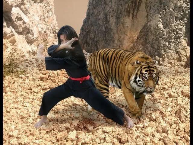 Jasa Gemblengan Silat Ghaib Instan