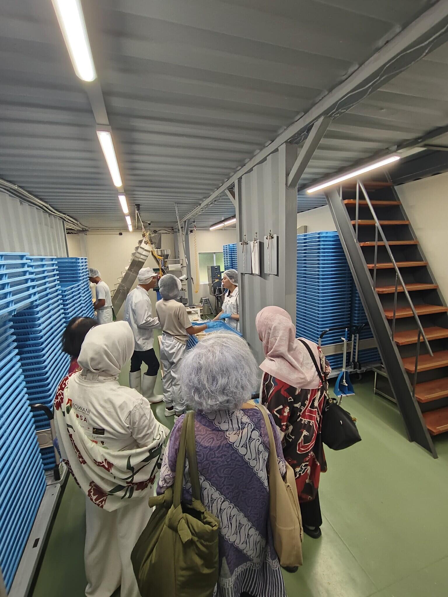 MAKMUR KARENA TEMPE di NEGERI SAKURA