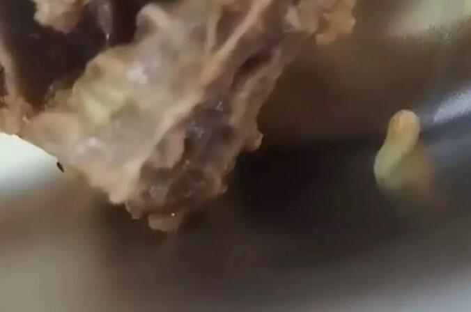 Viral Lauk MBG di Tuban Berisi Belatung, Camat: Hanya 4 Kotak Makan di Dua Lokasi