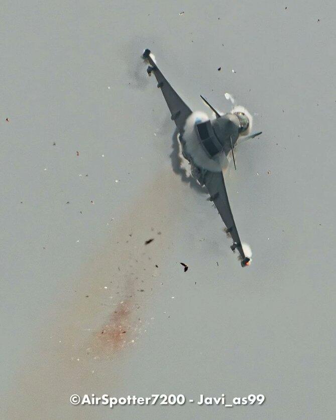 Tragis ! Seekor Burung Camar Tewas Ditabrak Jet Tempur Typhoon Milik Spanyol