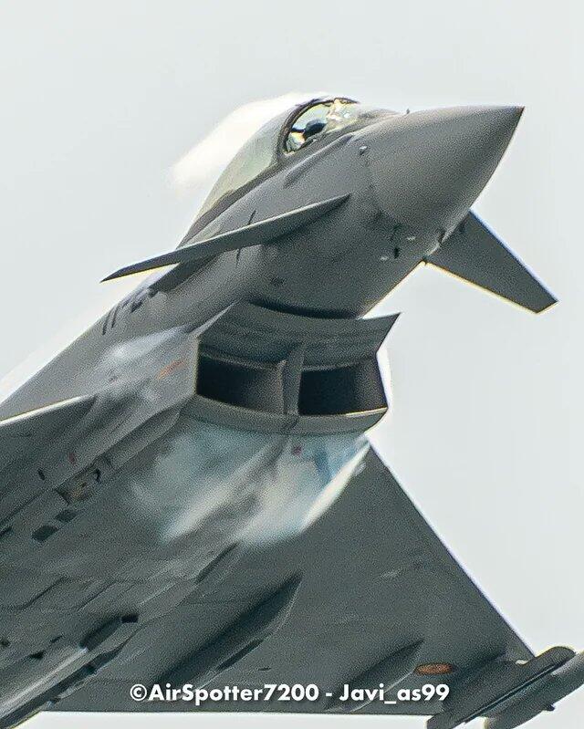 Tragis ! Seekor Burung Camar Tewas Ditabrak Jet Tempur Typhoon Milik Spanyol