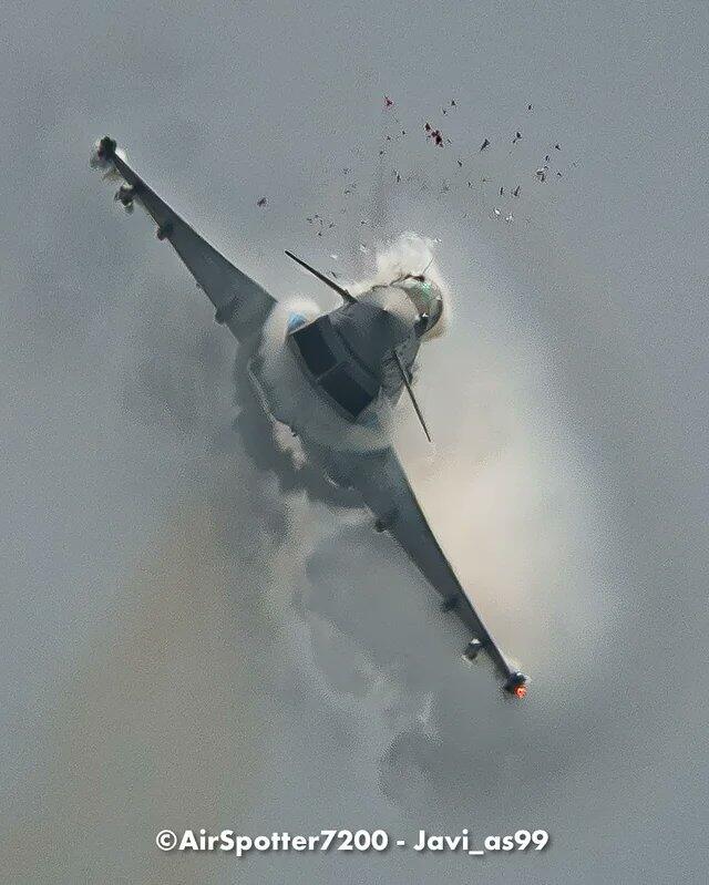 Tragis ! Seekor Burung Camar Tewas Ditabrak Jet Tempur Typhoon Milik Spanyol