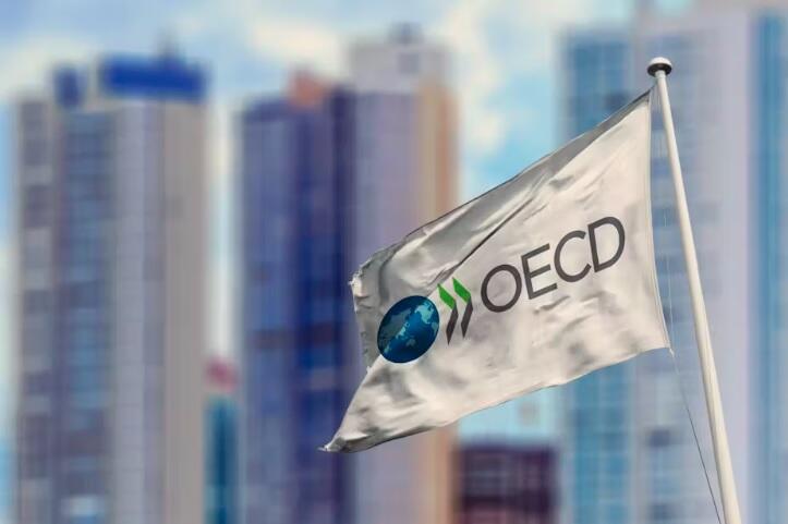 OECD Bukan Cuma Gaya-Gayaan, Tapi Jurus Kebut Ekonomi RI!