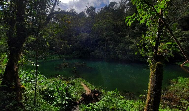 KISAH NYATA!!! Terpanggil Gunung Pangrango Via Cibodas