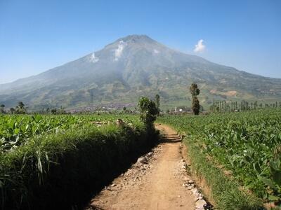 Misteri Gunung Cikuray