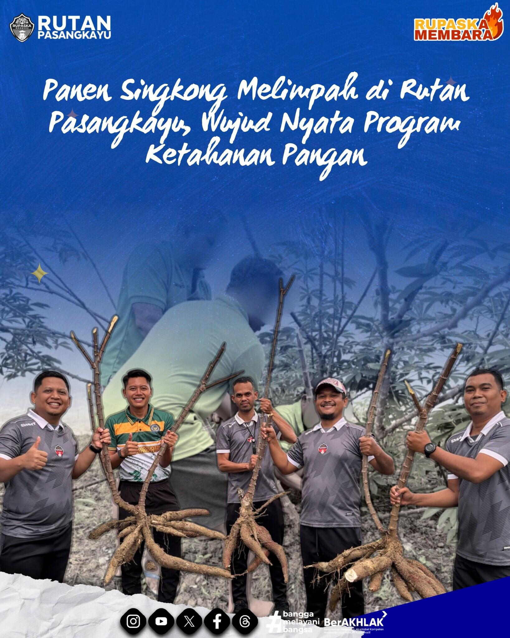Panen Singkong Melimpah di Rutan Pasangkayu, Wujud Nyata Program Ketahanan Pangan