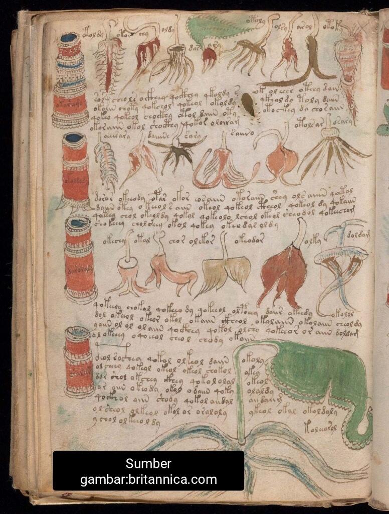 Menguak Misteri Voynich Manuscript: Buku Abad 15 yang Bikin Ilmuwan Geleng-Geleng