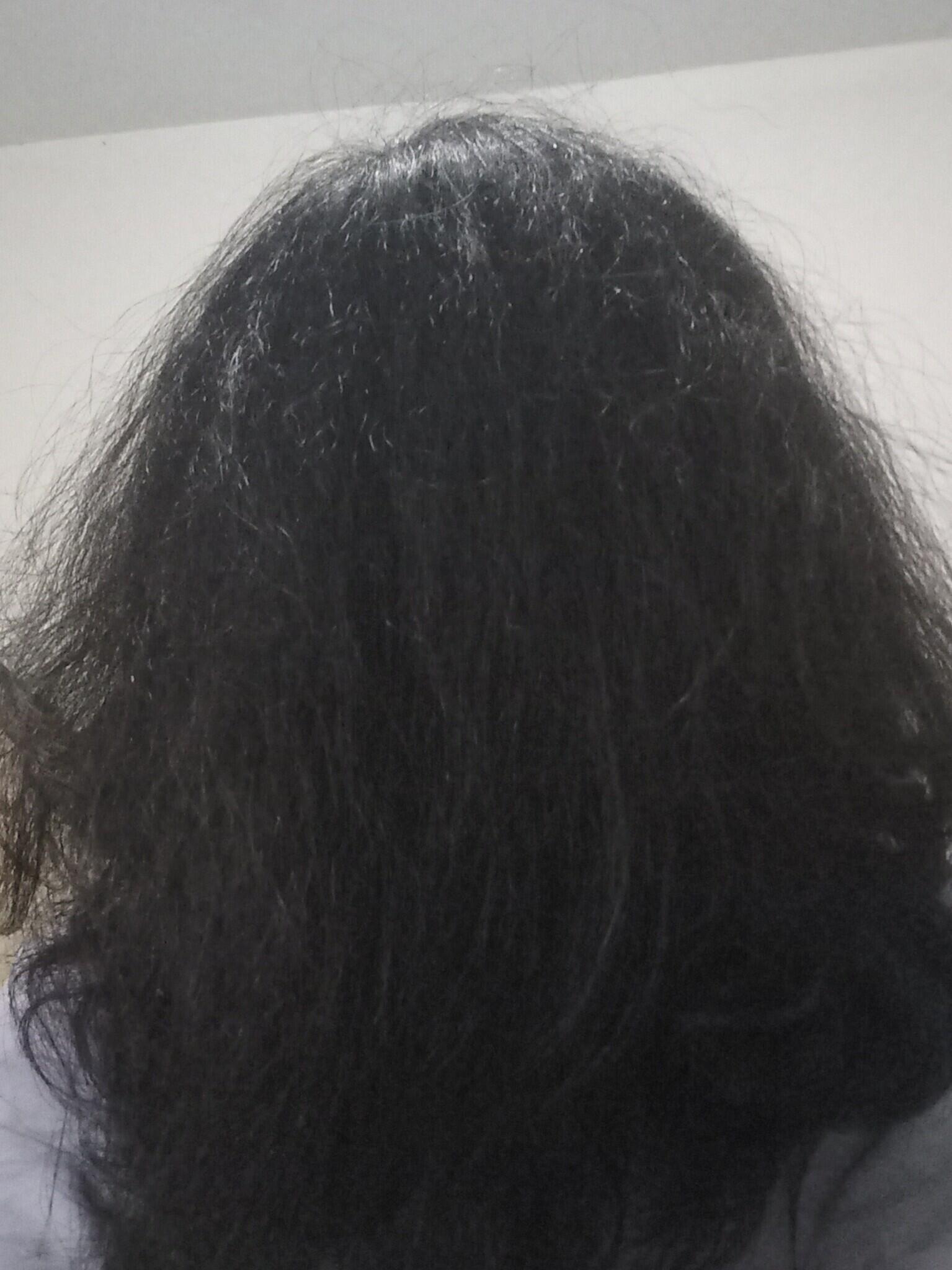 Minta Pendapatnya Guys, Dan Tolong Jangan Bully Gue