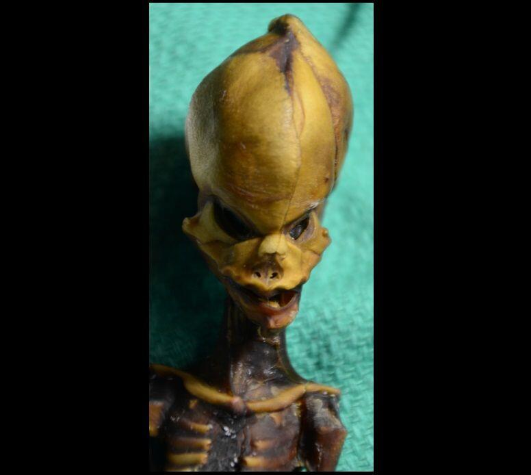 "Analisis DNA Ungkap Misteri 'Alien Atacama', Wujudnya Tak Biasa"