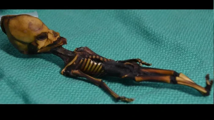"Analisis DNA Ungkap Misteri 'Alien Atacama', Wujudnya Tak Biasa"