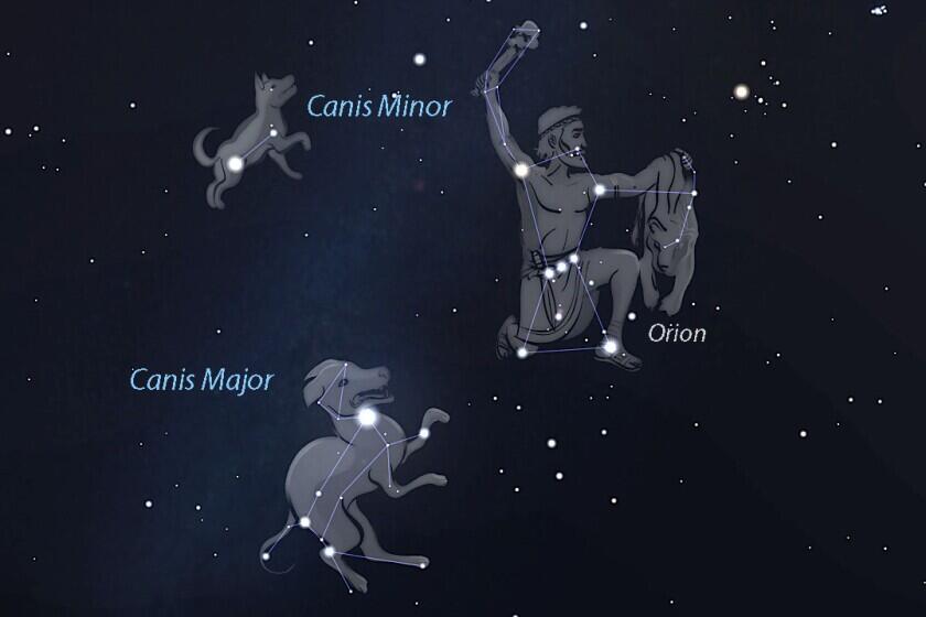 Bocoran Spesifikasi PS6 Portable ; Code name "Canis"