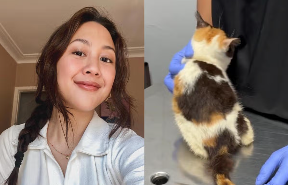 Peliharaan Bukan Sekadar Hobi: Pelajaran dari Kasus Kucing Uya Kuya!