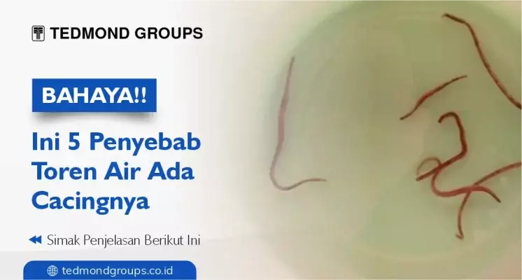 Bahaya!! Ini 5 Penyebab Toren Air Ada Cacingnya