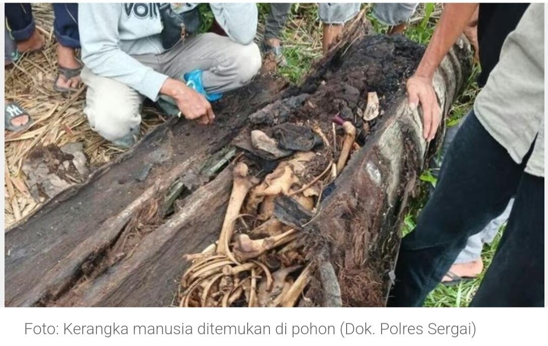 Misteri Kerangka Manusia di Dalam Pohon Aren di Sergai