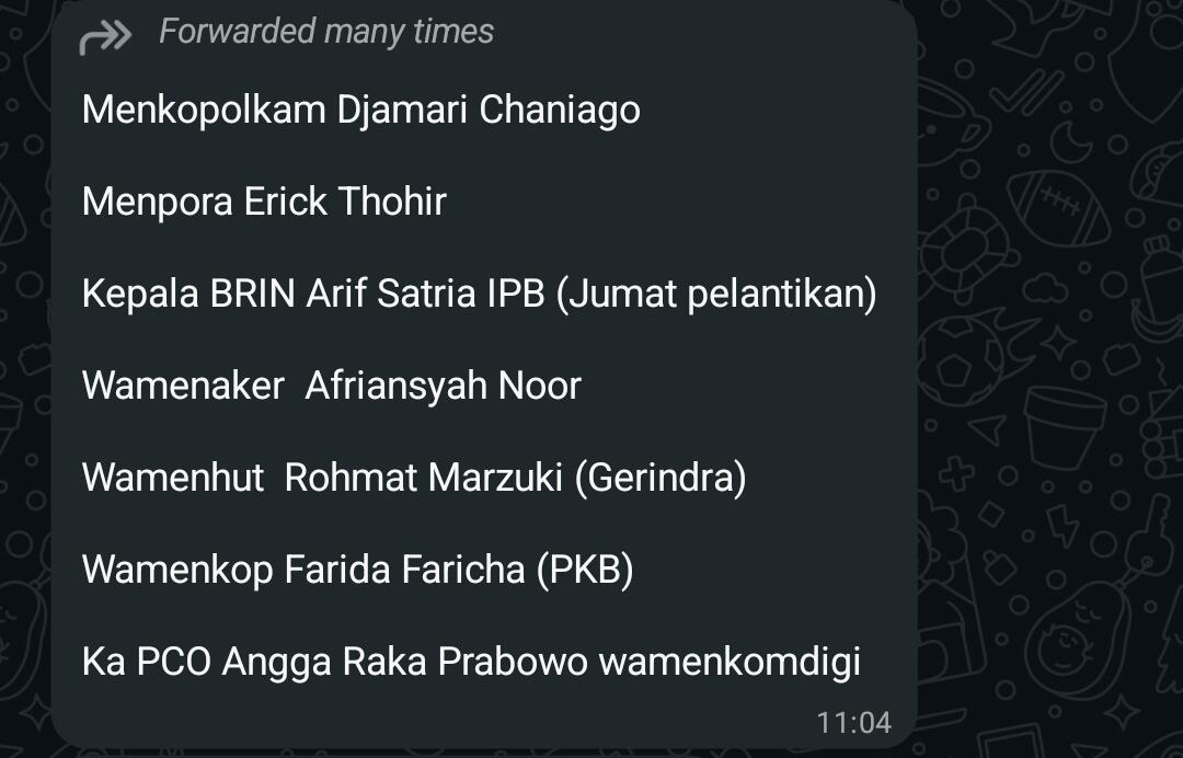 Sarah Sadiqa Dilantik Jadi Kepala LKPP, Gantikan Elite PDI-P Hendrar Prihadi