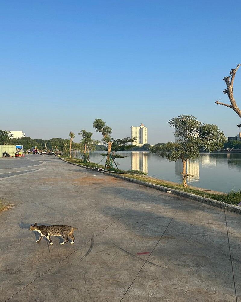 Jual Apartemen Greenlake Sunter Dekat Sunter Mall, Danau Sunter, Mall Artha Gading