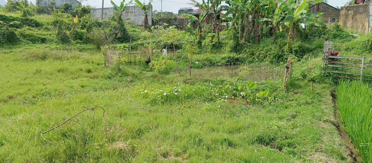 Tanah Dijual 600 m2 di Jl. Raya Nagreg Bandung Dekat Pasar Rebo Nagreg