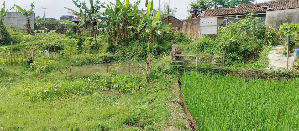 Tanah Dijual 600 m2 di Jl. Raya Nagreg Bandung Dekat Pasar Rebo Nagreg