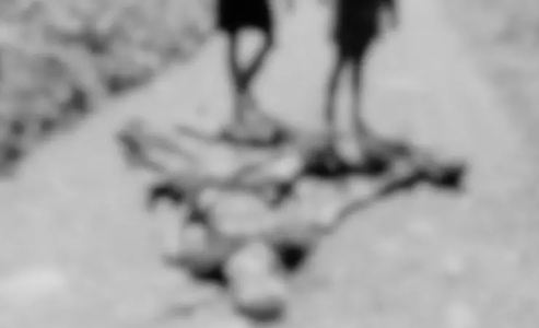 TPNPB &ndash; OPM Berikan Akses Pihak Gereja Evakuasi Jenazah Pendulang di Yahukimo