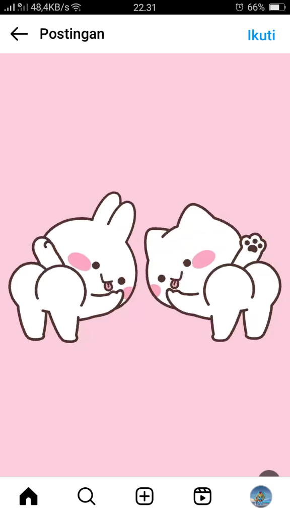 Kumpulan embed IG dari Hip Mimi and Neko