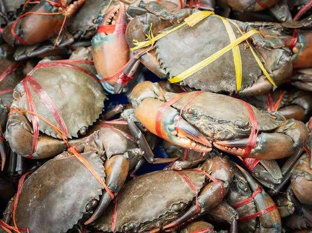 lobster hidangan kelas bawah dan menjadi hidangan kelas atas