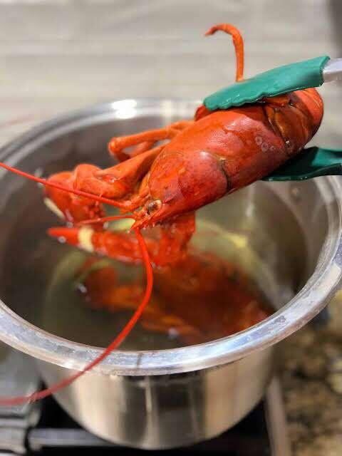 lobster hidangan kelas bawah dan menjadi hidangan kelas atas