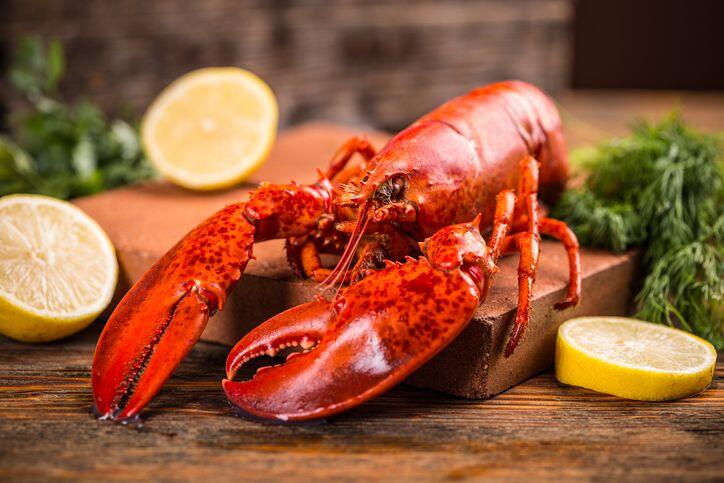 lobster hidangan kelas bawah dan menjadi hidangan kelas atas