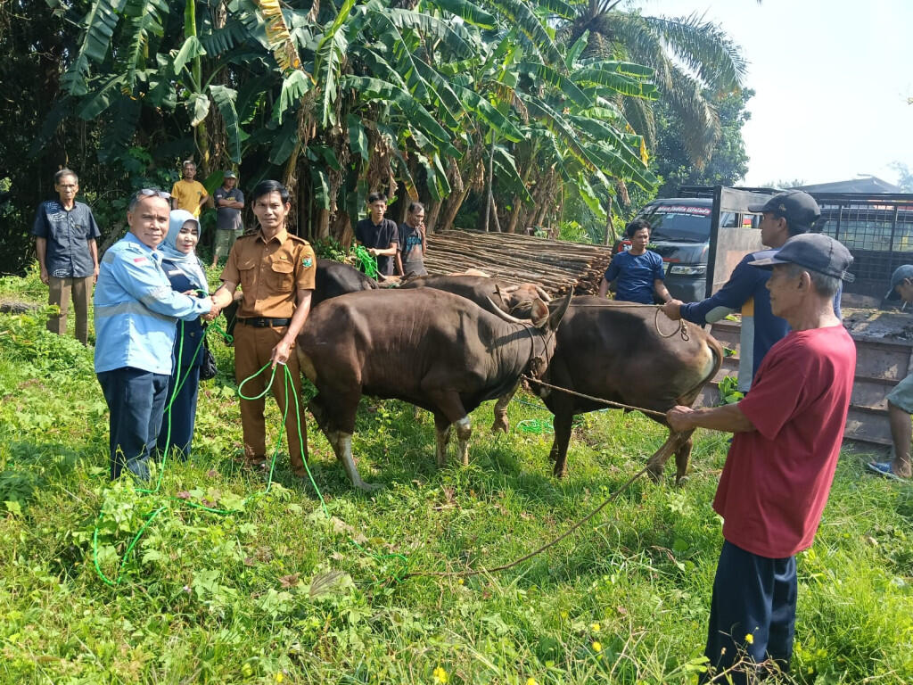 Bara Anugrah Sejahtera Dorong Pemberdayaan Masyarakat Lewat Program Ternak Sapi
