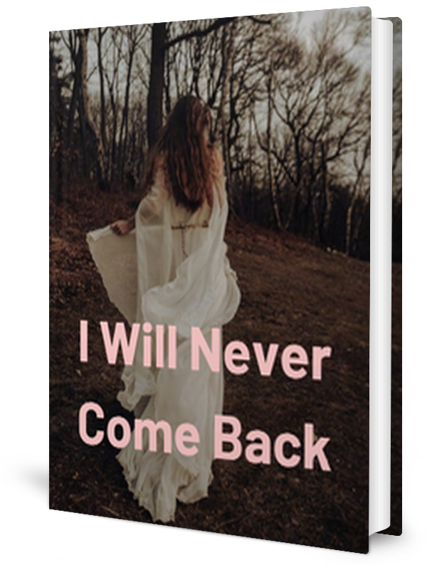 I Will Never Come Back Novel by Brady. J _ Novel