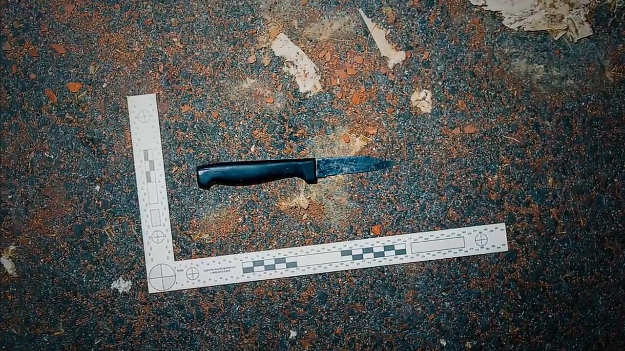 Cinta Segitiga Berujung Petaka, Wanita Ini Membunuh Tunangan dari Pria Selingkuhannya
