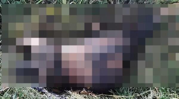 Aksi Keji Juru Navigasi KRI, Kerja Sama dengan Selingkuhan untuk Membunuh Sang Istri