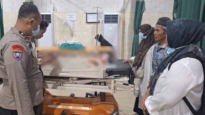 Petani Karet di Jambi Jadi Korban Serangan Beruang di Tengah Kebun