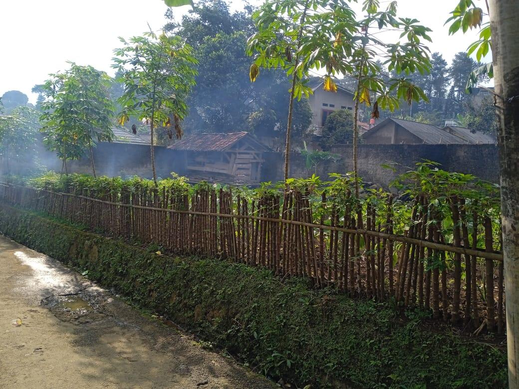 Sebidang tanah + rumah
