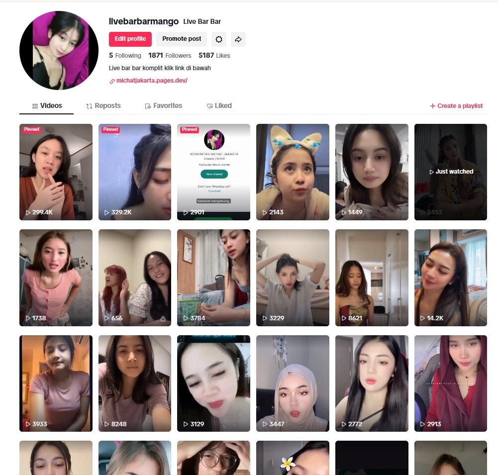Pojokan28: Koleksi Video TikTok Barbar, Dijamin Bikin Feedmu Panas!