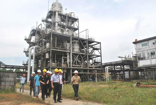 Dedi Mulyadi akan Produksi Bobibos Skala Kecil dengan Uang Pribadi: Pakai APBD Lama