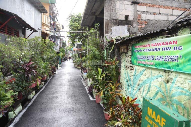 Berawal dari SMS | Asmara Fatal Janda Muda dan Abang Penjual Nasi Goreng