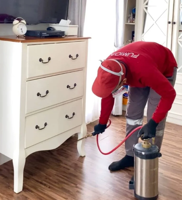 Pentingnya Jasa Exterminator Rayap Profesional untuk Perlindungan Rumah