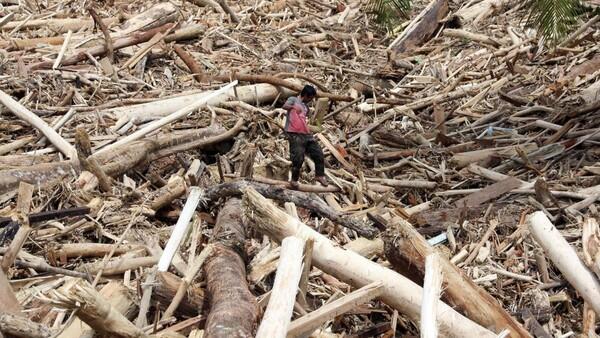 Kayu Gelondongan Berserakan Setelah Banjir, Mendagri Instruksikan Penyelidikan Resmi