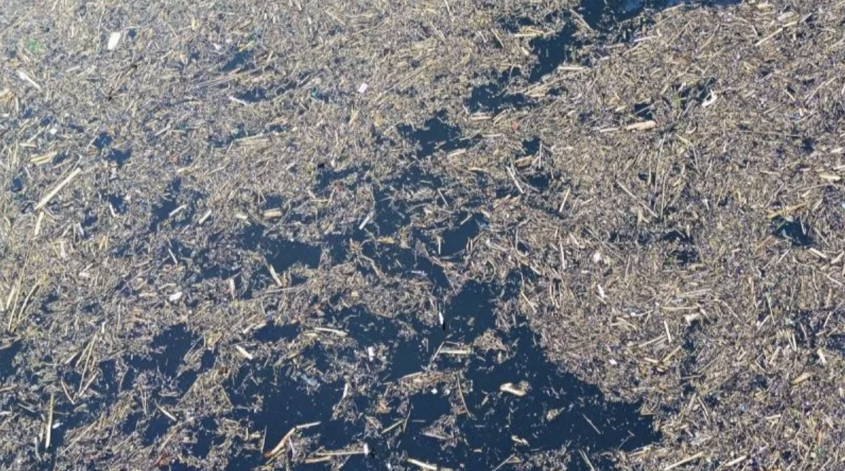 Polri dan Kemenhut Telusuri Dugaan Pembalakan Liar di Sumatra