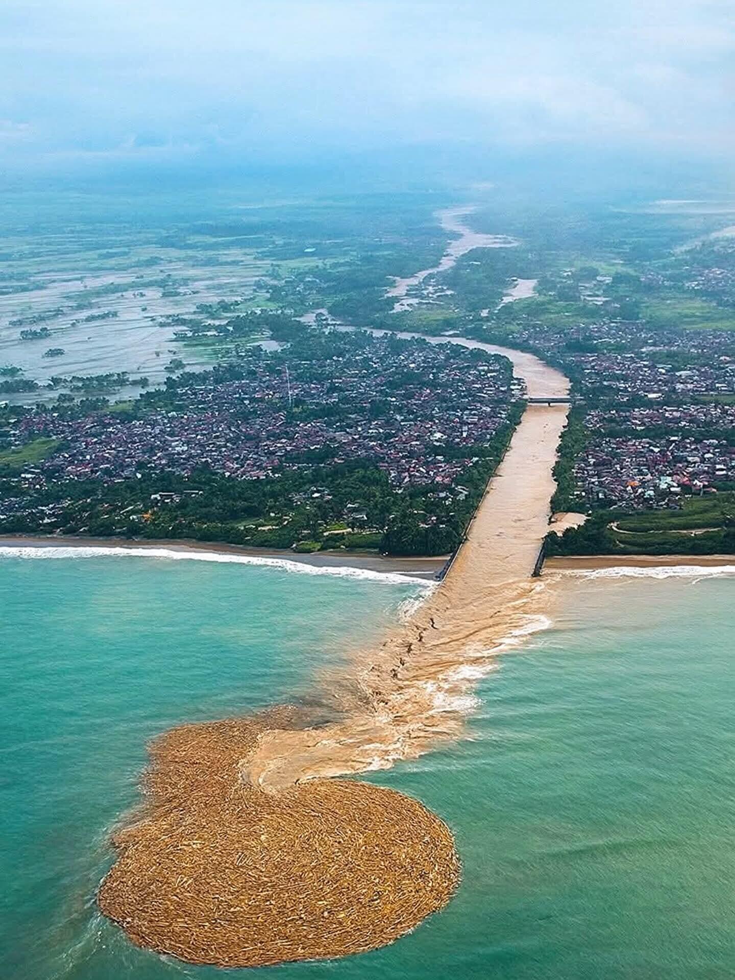  Kayu Gelondongan Penuhi Pantai di Nias Usai Banjir, Dari Mana Semua Kayu Berasal