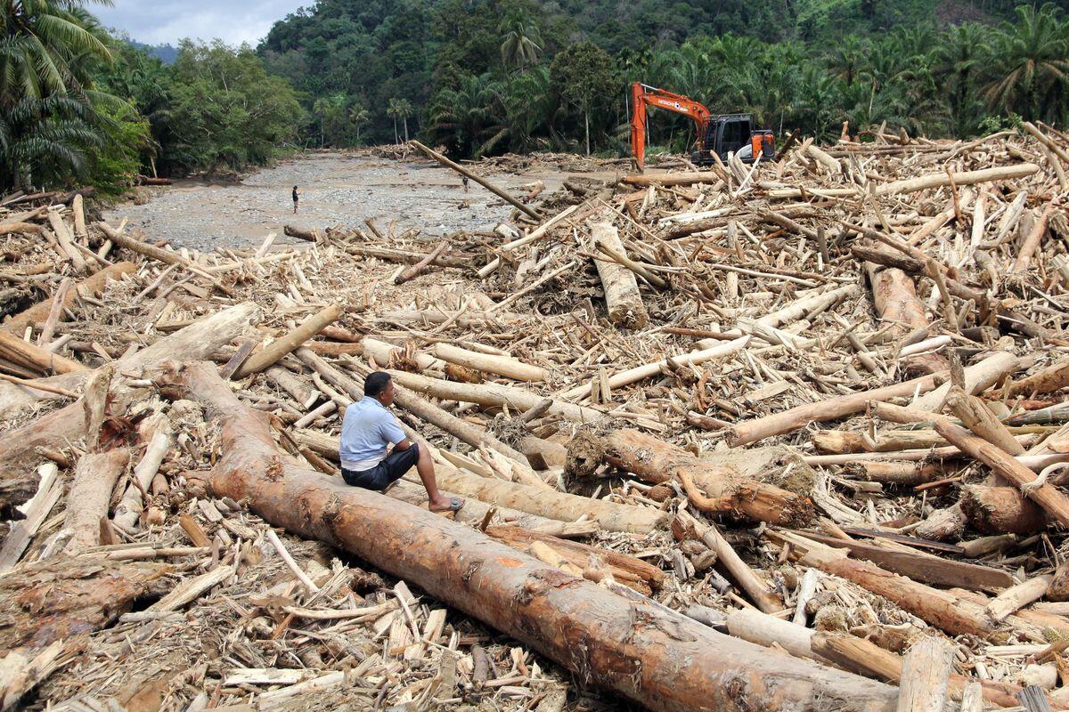 Siapa yang Seharusnya Bertanggung Jawab atas Bencana di Sumatera?
