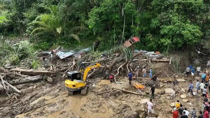 Ajakan Pandawara Patungan Beli Hutan Bersambut: Influencer Siap Beri Netizen Ikutan