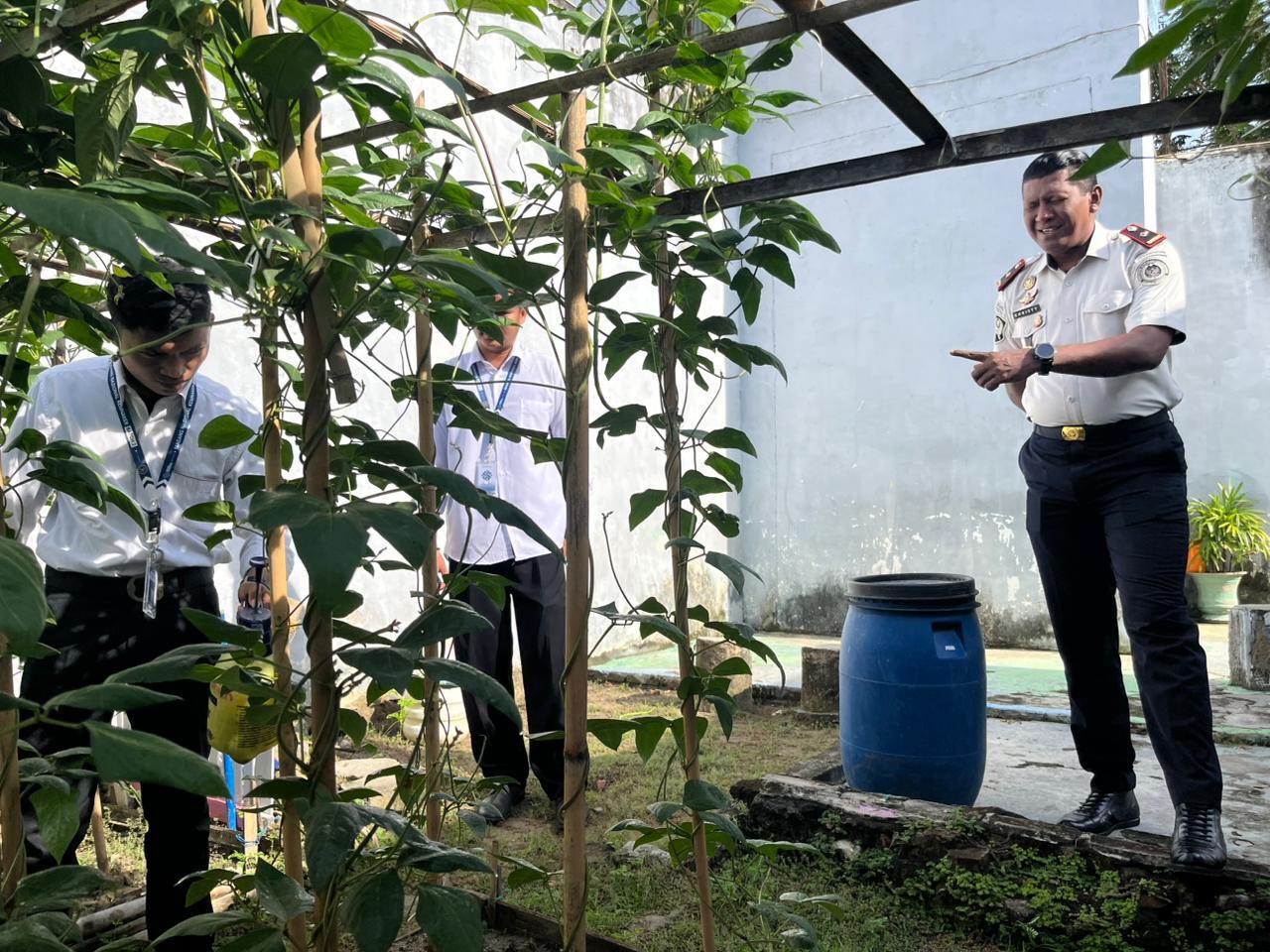 Rutan Kelas IIB Majene Laksanakan Perawatan Tanaman Kangkung dan Kacang Panjang