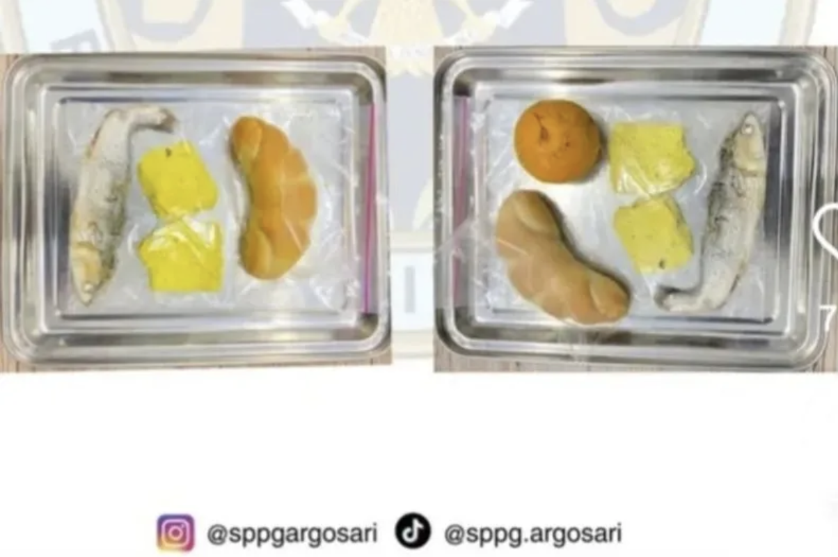 Video Viral Menu Bandeng Mentah MBG di Bantul, BGN Sebut Ikan Sudah Matang