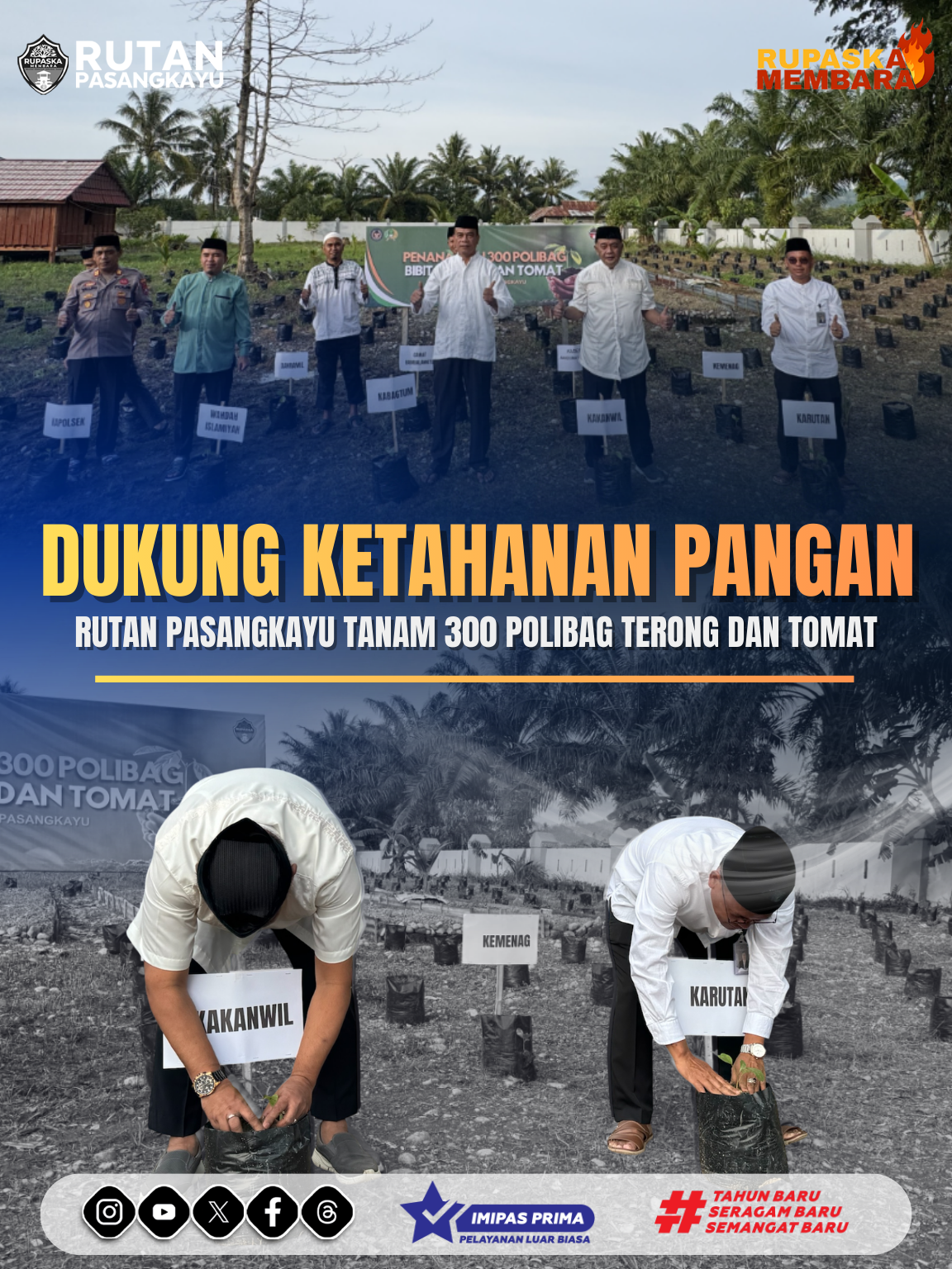 Dukung Ketahanan Pangan, Rutan Pasangkayu Tanam 300 Polibag Terong dan Tomat
