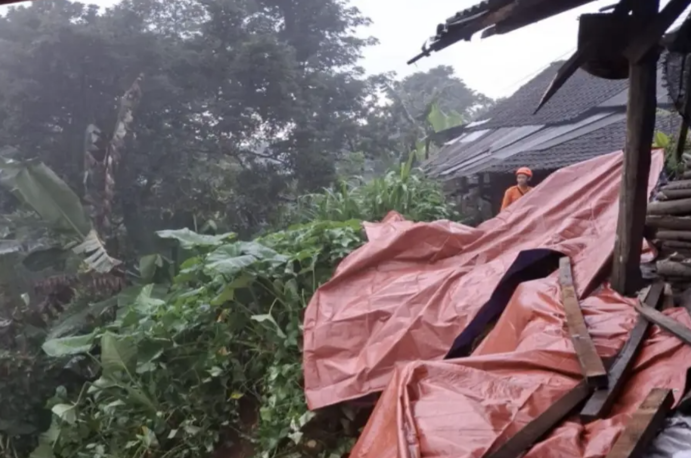 Pencari Rumput di Wlingi Blitar Tertimbun Longsor Saat Hujan Deras