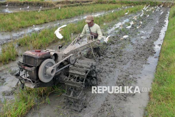 Mentan Ungkap Indonesia Kini Jadi Rujukan Dunia di Sektor Pangan