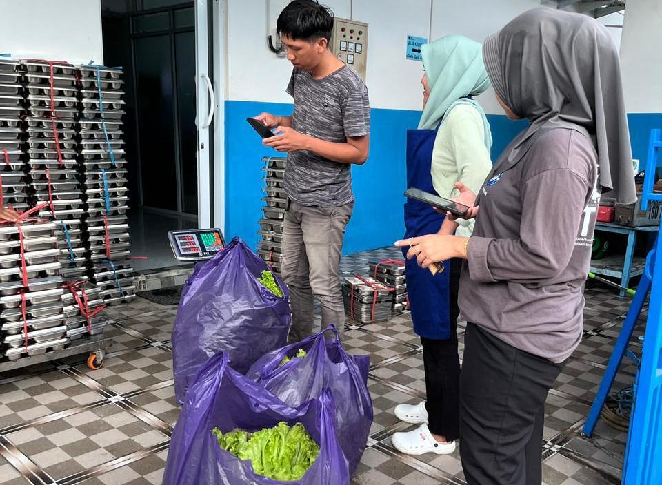Rutan Kelas IIB Majene Panen 24,5 Kg Selada, Suplai ke Dapur MBG
