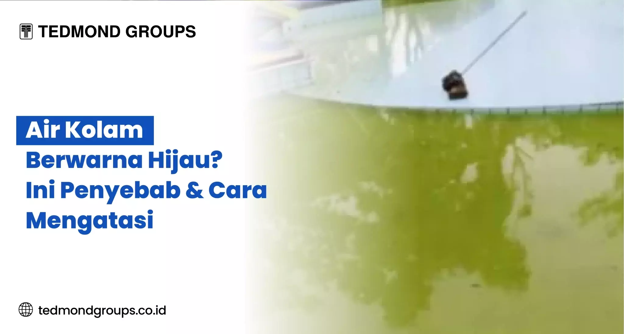 Air Kolam Berwarna Hijau? Ini Penyebab &amp; Cara Mengatasi