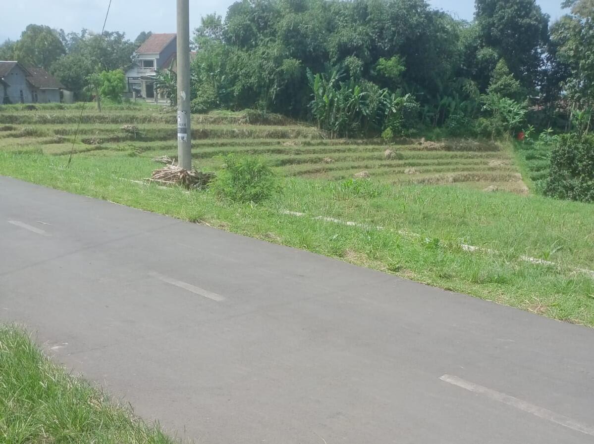 Tanah Subur 1370m&sup2; Cocok Untuk Kebun Karanganyar 